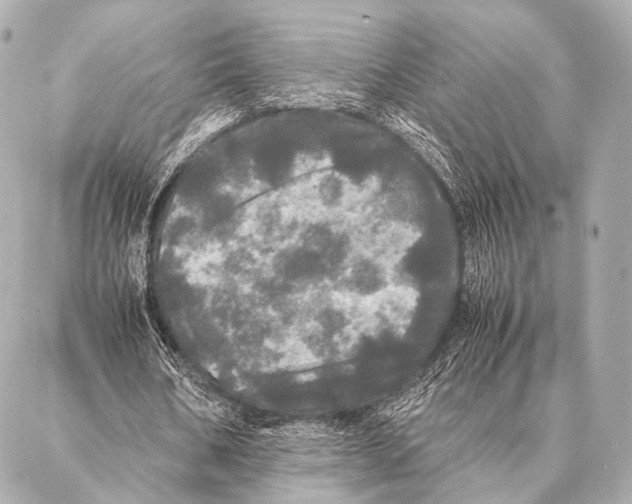 X0000087020578200705141859