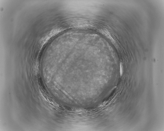 X0000087020579200705141859