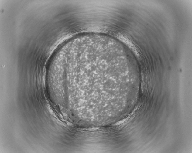 X0000087020580200705141858