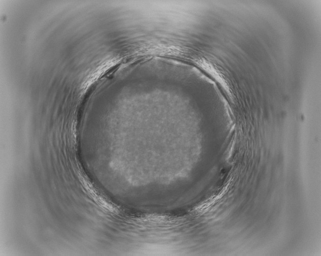 X0000087020581200705141858