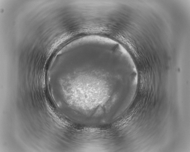 X0000087020582200705141858