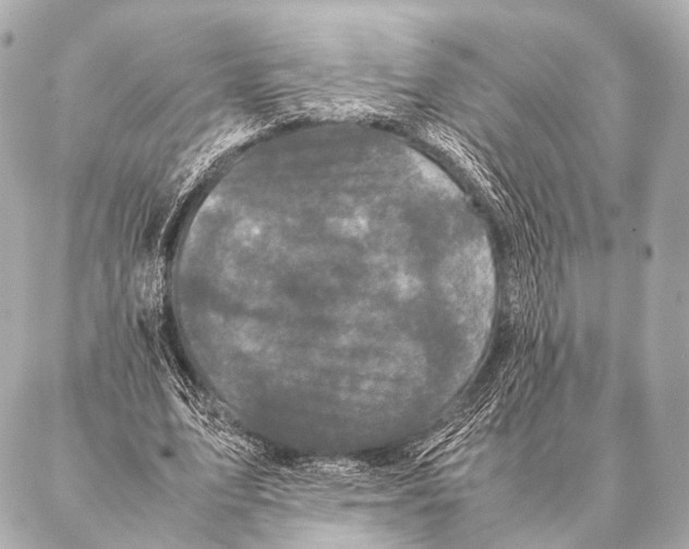 X0000087020583200705141858