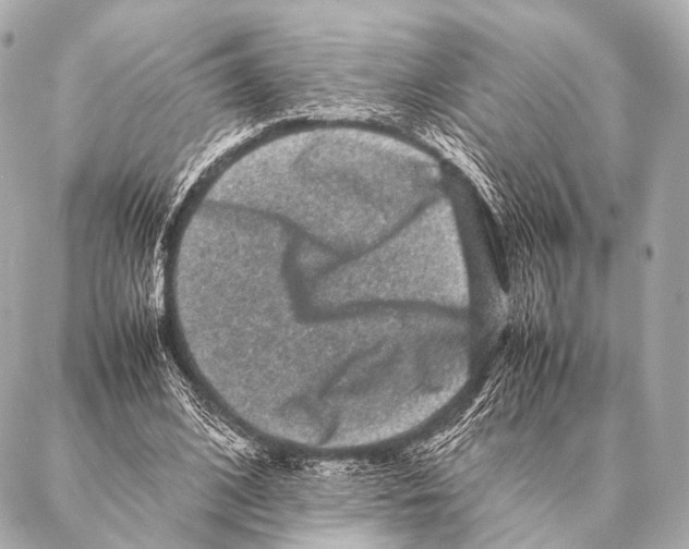 X0000087020584200705141858