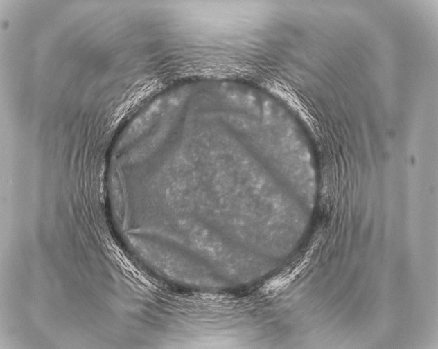 X0000087020585200705141858