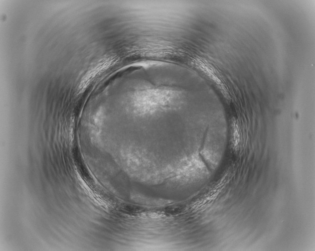 X0000087020586200705141858