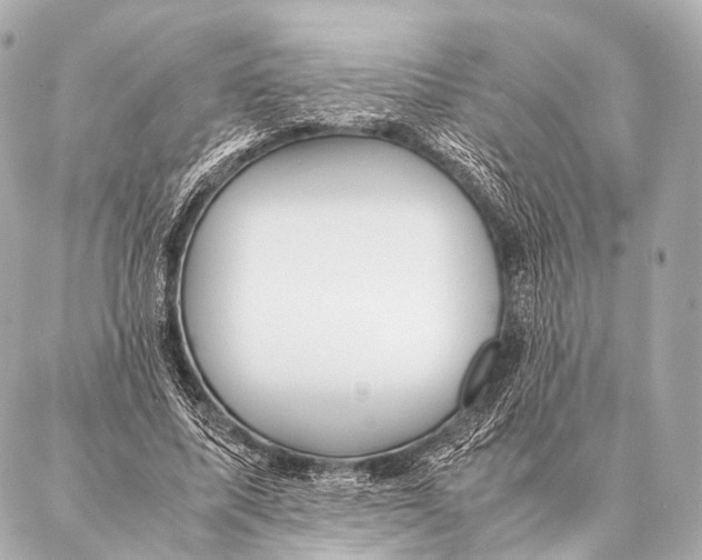 X0000087020587200705141858