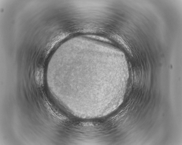 X0000087020588200705141858