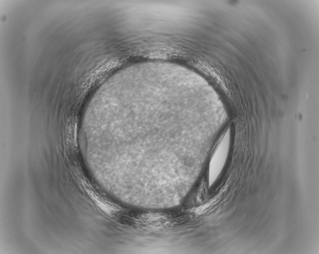 X0000087020589200705141858