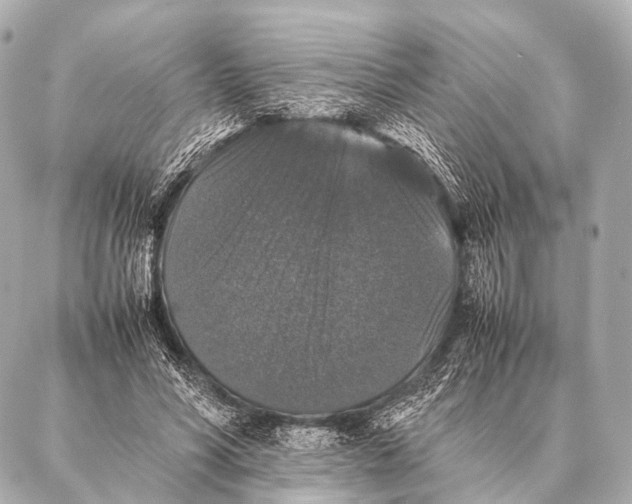 X0000087020590200705141858