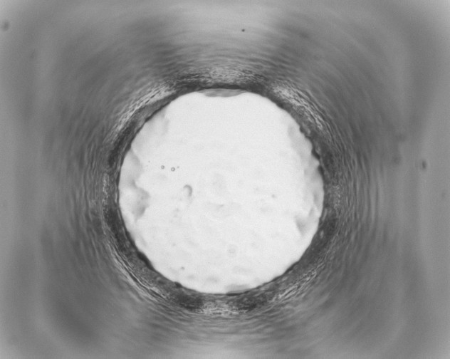 X0000087020591200705141858