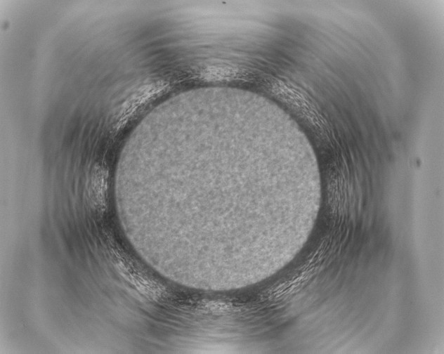 X0000087020592200705141858