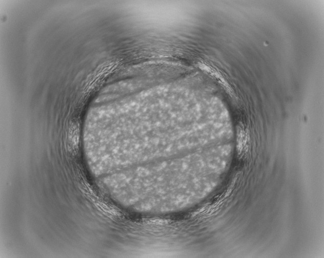 X0000087020593200705141858