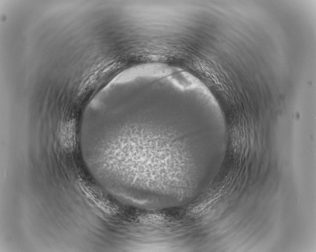 X0000087020594200705141858