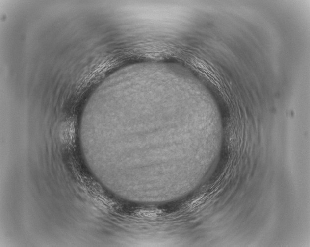 X0000087020595200705141858