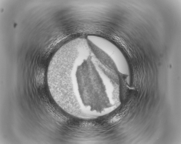 X0000087020596200705141858