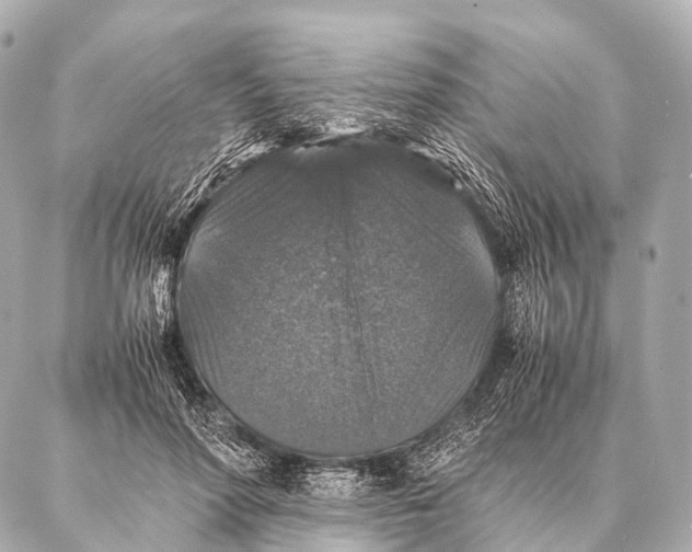 X0000087020598200705141858