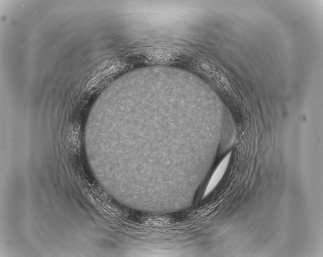 X0000087020599200705141858