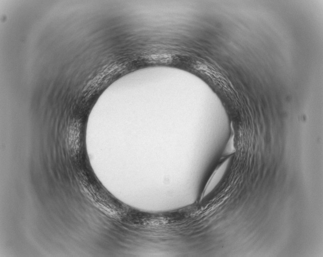 X0000087020600200705141858