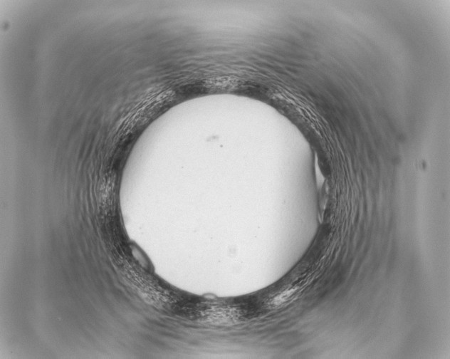 X0000087020601200705141858