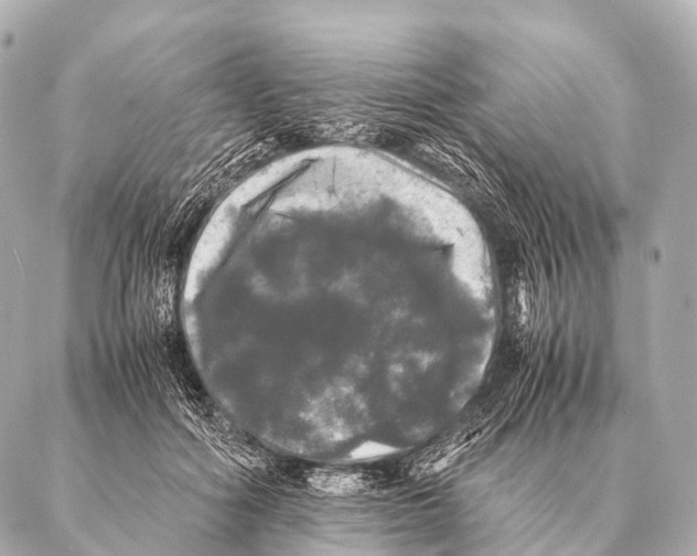 X0000087020602200705141858