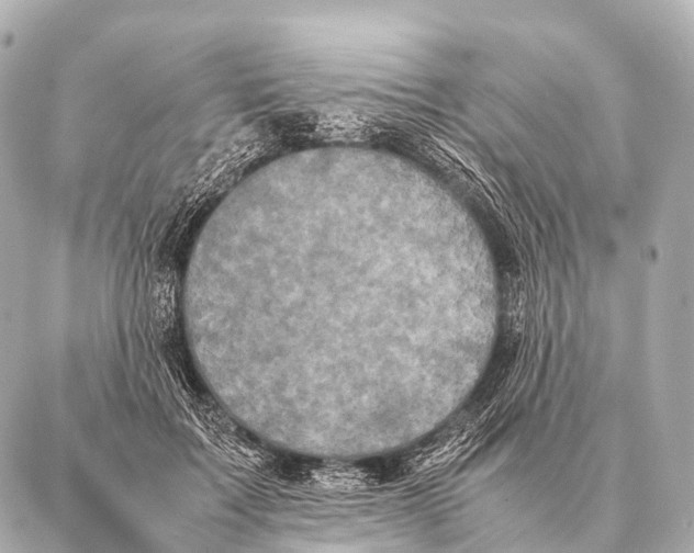 X0000087020603200705141858