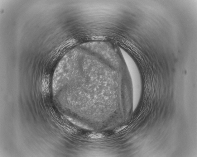 X0000087020604200705141858