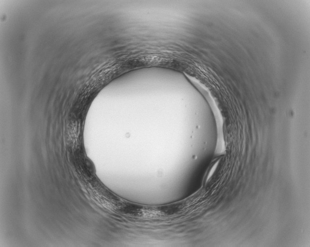 X0000087020605200705141858