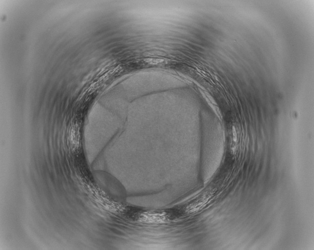 X0000087020606200705141858