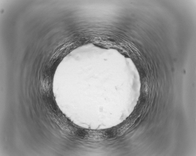 X0000087020607200705141858