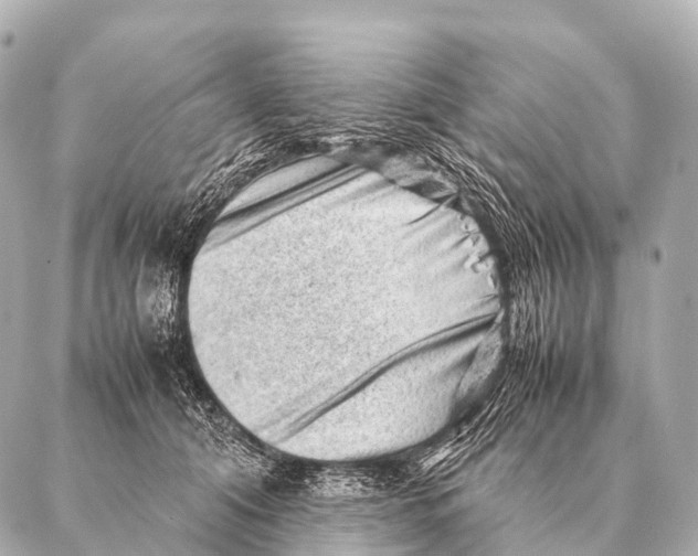 X0000087020608200705141858