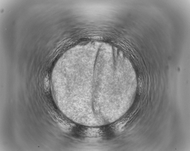 X0000087020609200705141858