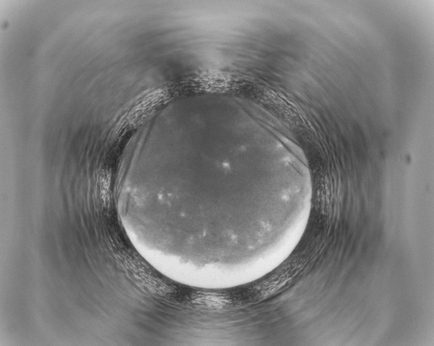 X0000087020610200705141858