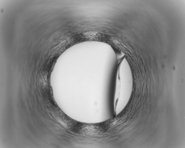 X0000087020611200705141858