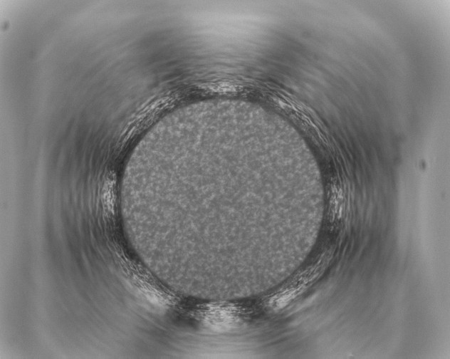 X0000087020612200705141858