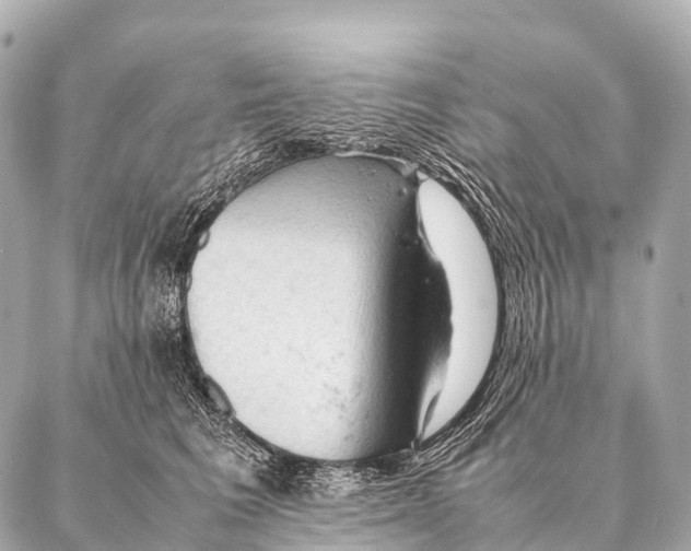 X0000087020613200705141858