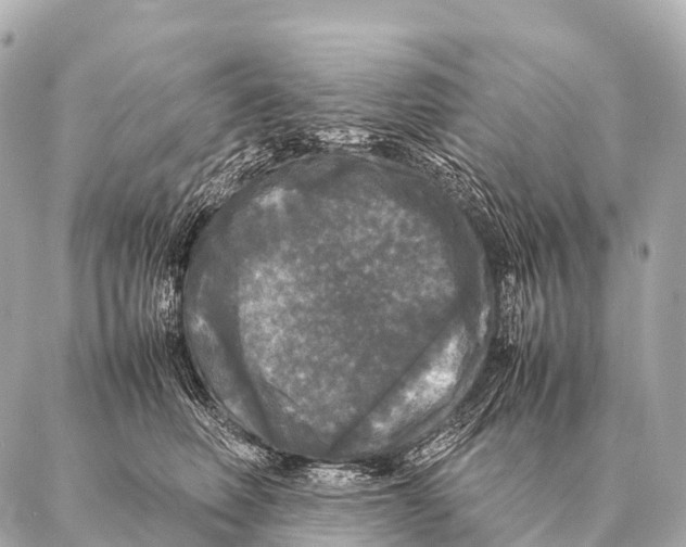 X0000087020614200705141858