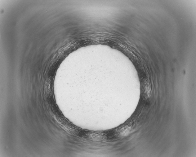 X0000087020615200705141858