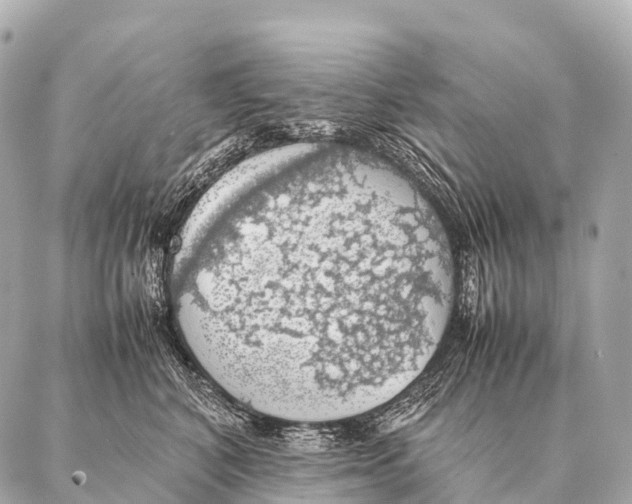 X0000087020616200705141858