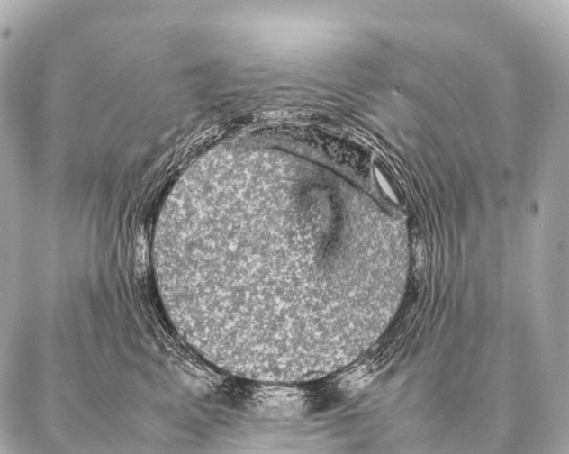 X0000087020617200705141858