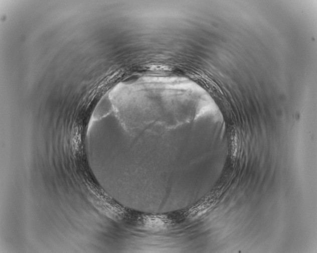 X0000087020618200705141858