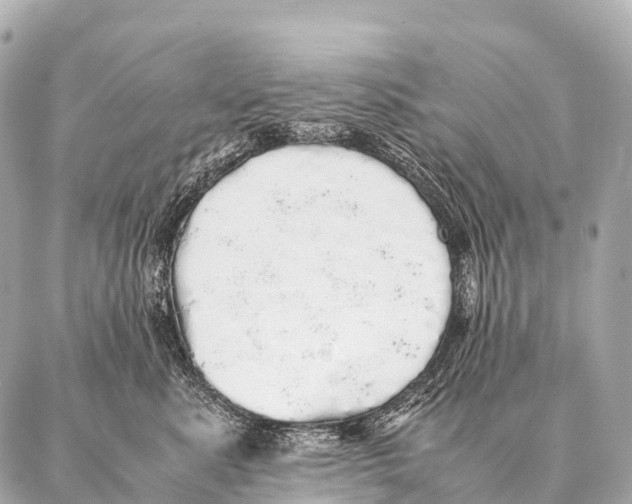 X0000087020619200705141858