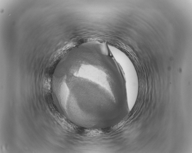 X0000087020621200705141858