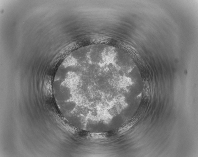 X0000087020622200705141858