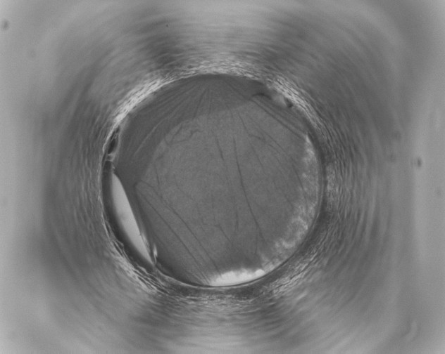 X0000087020626200705141857