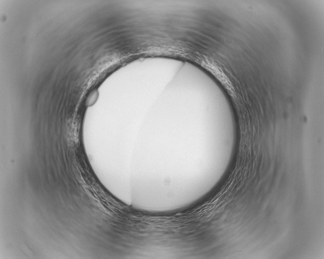 X0000087020628200705141857