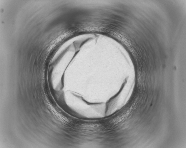 X0000087020629200705141857