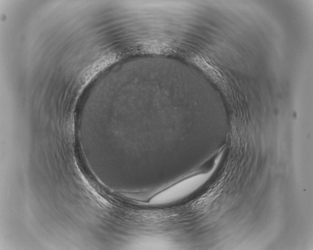 X0000087020630200705141857