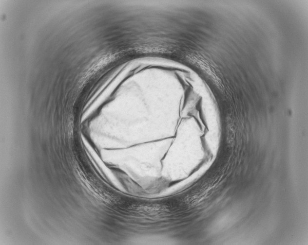 X0000087020631200705141857