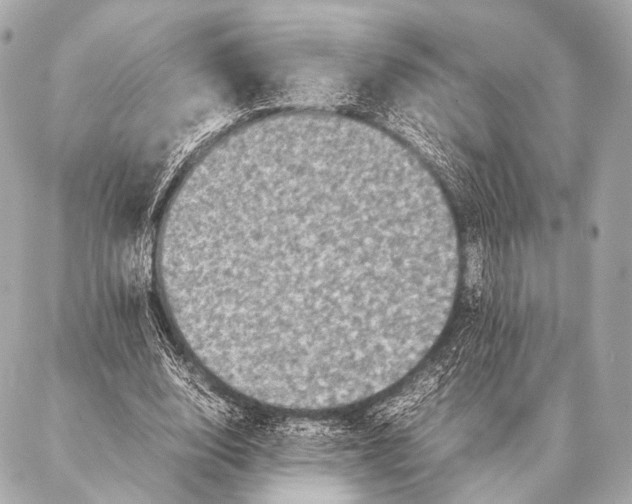 X0000087020632200705141857