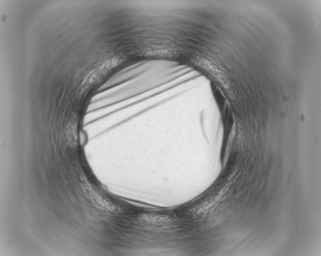 X0000087020633200705141857